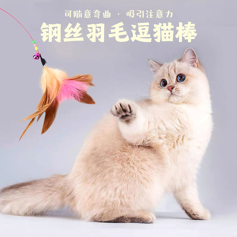 新款羽毛逗猫棒猫玩具长杆羽毛带铃铛逗猫咪玩具宠物玩具解闷猫咪|undefined