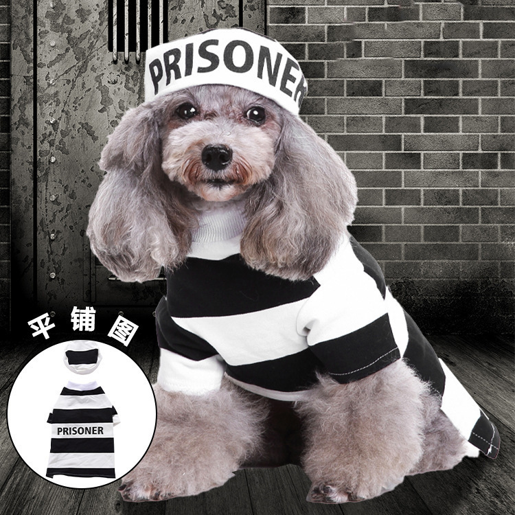人気ペット犬犬用品起爆ニットセーターカボチャ変身服呪術師服万クリスマスペット|undefined