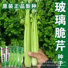 ۷NwS㲣۲˷NļNͥԺr߲˷N