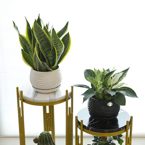 Gold Nordic Light Luxury Flower Stand Wedding Decor Train Metal Art Living Room Shelf Creative Sofa Side Table