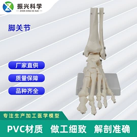 医药教学器材;教学演示用品