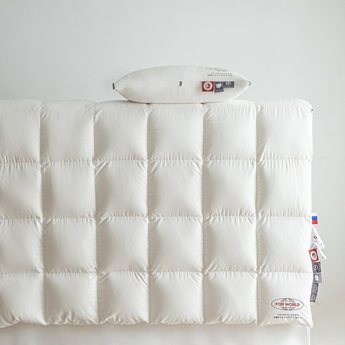 Factory Direct Sales 95% White Goose Down Winter Quilt with Hanging Goose Down Quilt High-End Goose Down Spring and Autumn Quilt Thick Down Comforter
