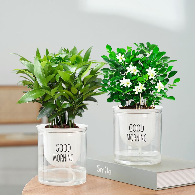 [2개 세면대 패키지] 모기 퇴치 대나무와 편백 + 모기 퇴치 구리향 + [굿모닝 세면대 2개] + 영양액