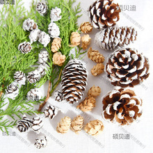 ȻɹƯ׉TС~Ĕz}Qb