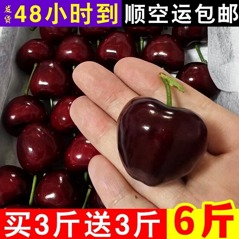 Fresh Sweet and Sour Whole Box of Large Cherries from Yantai, Shandong, Direct Delivery with Free Shipping, Suitable for Pregnant Women