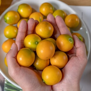 �V����Ƥ���5�����rˮ���ڰ�����������]�������һ�����l