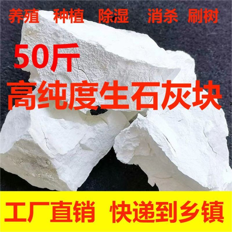 高纯度生石灰块农用生石灰鱼塘养殖除燥剂消毒家用杀菌防虫|undefined
