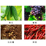 Общие зеленые листья, содержащие аминокислотные поверхностные удобрения и водяные удобрения Сильные корни корней зеленые листья зеленые зеленые и сильные желтые листья