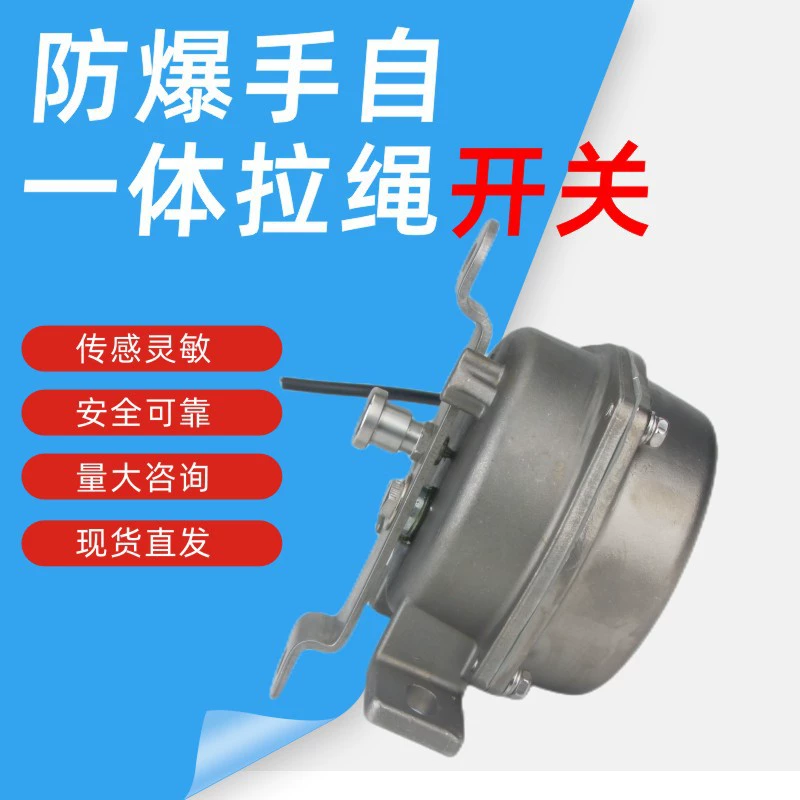 BXY5808 Устройство защиты от аварийного останова ленточного конвейера 304 взрывозащищенный двухсторонний переключатель троса из нержавеющей стали