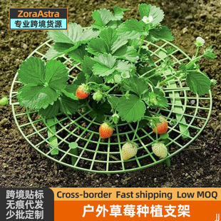 Cross-border Strawberry Bracket Tray Gardening Family Balcony Planting Sunflower Potted Seedling Anticorrotten Fruit Support Frame