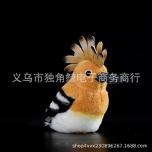 �羳ë�q����ٿƷ��ϵ���B�ȸ���߹���