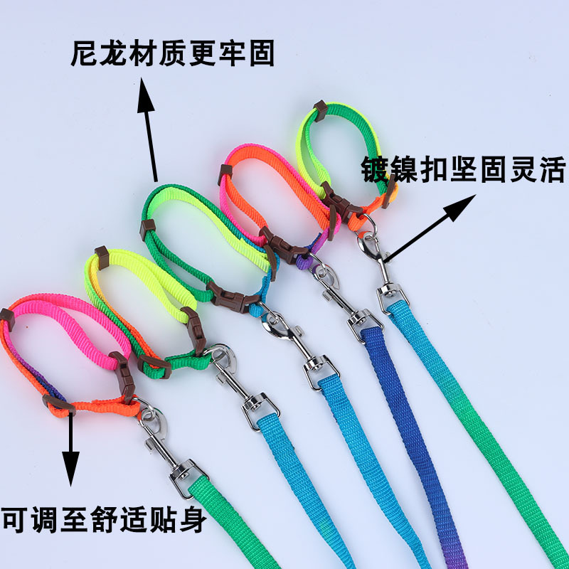 En stock cuerda de tracción de cuerda plana colorida perros medianos y grandes suministros para mascotas cuerda de perro Cadena de perro correa de pecho de peluche al por mayor