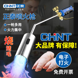 Chint Gas LPG Spray Gun Roasting Gun Household Burning Pig Hair Artifact Gun Gas Flame Spray Gun Head Spray Gun