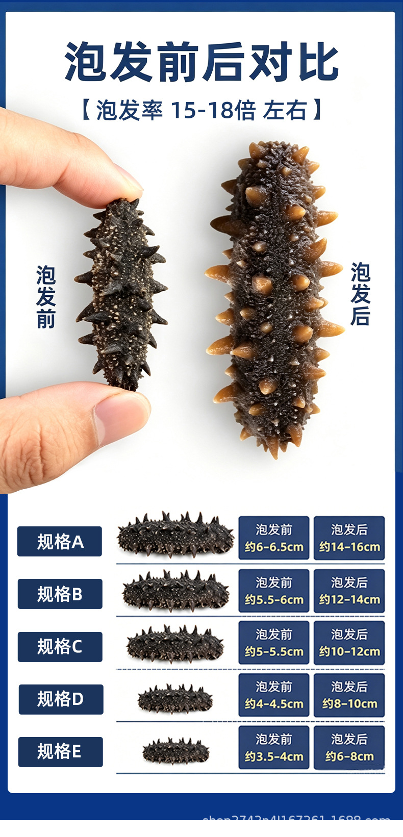 Dried Sea Cucumber Gift Box Lightly Dried A Grade 50g 8-9 Pieces quality and texture