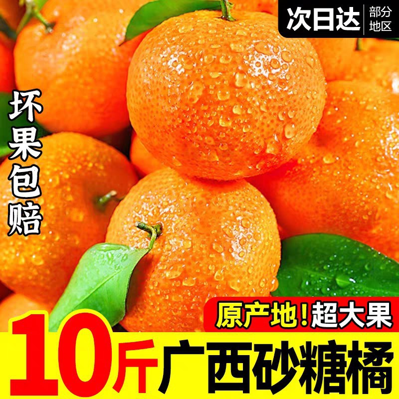 砂糖橘爆甜广西金秋沙糖桔薄皮蜜桔橘子10装水果整箱批发5斤