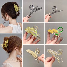 �������ץ�A�����K�l�A�߼��о��M荺��X�ױP�l�l�AŮ�l��^�