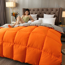 加厚保暖冬被纯色双拼羽丝绒春秋被四季纤维被芯礼品被子