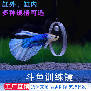 ���������~Ӗ���R�� �����_�h����Ư�����p���R ���P�~���ⶺ�~�R