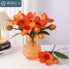 ���滨 Ӣ�ۻ� �ָ�ˮ��ľ�޻��ҾӾƵ�͏dܛ�b���̻�c�����ٻ�