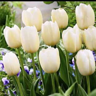 ˮ���������N��ˮ�ɻ��N�ӻ������ԾGֲ���҃��r�����B���L����