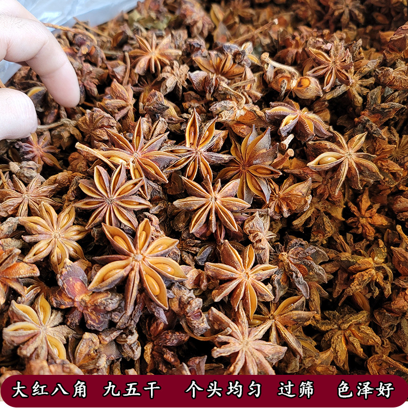 九五干6