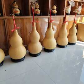 精挑大葫芦特大号亚腰葫芦观赏文玩大葫芦 厚皮葫芦带龙头