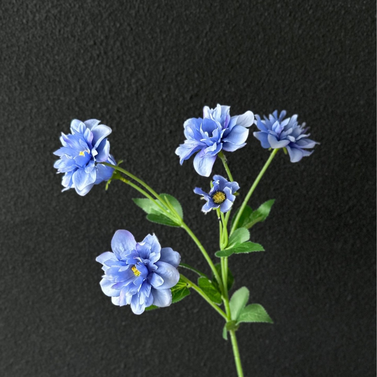 파란색 보라색