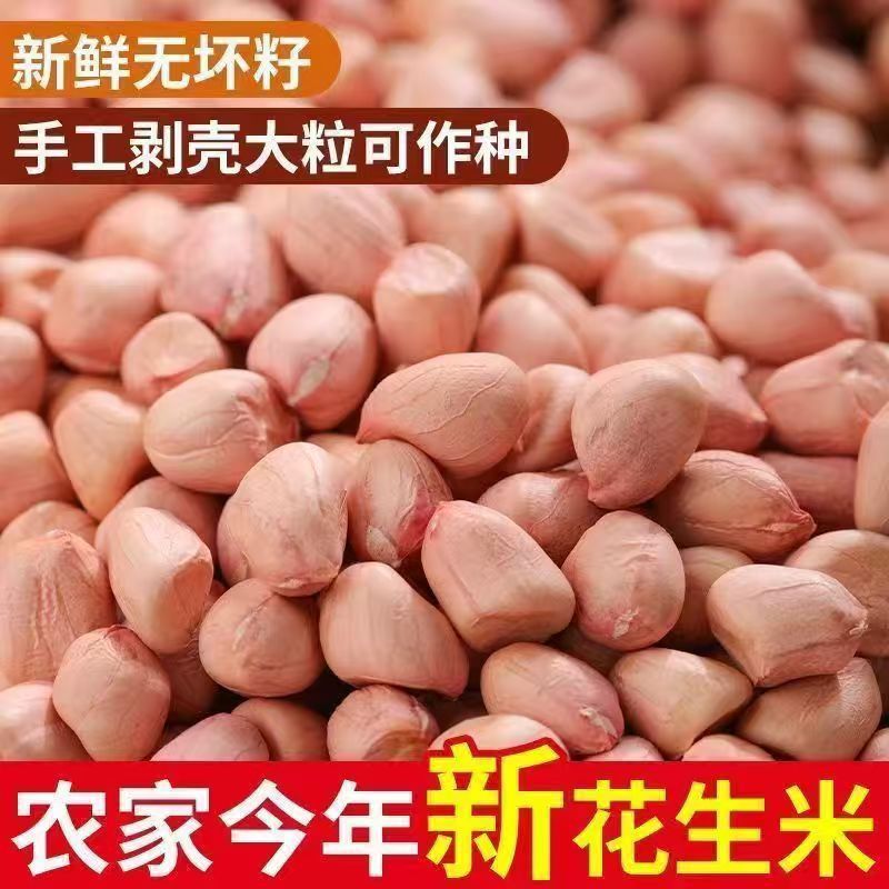 红皮花生新货批发5斤花生米仁批发粒红生花生仁小四粒红米红花生|undefined