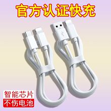 PD��䔵�����m���O��iPhone14/13/12/11/8/7/6�֙CUSB��늾�