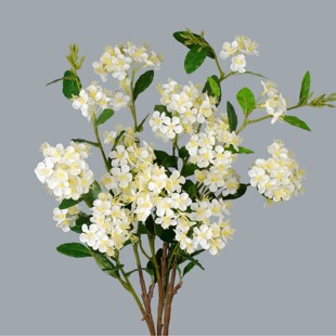 ���滨 ���ӻ� �Ҿӿ͏dܛ�b�c�Ƶ겼���[���̈���ˇ��ļٻ�
