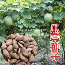 ���V�N������ș�ķN��ʳ�øɃ��o�s��������ļ����NҰ�����VƤ