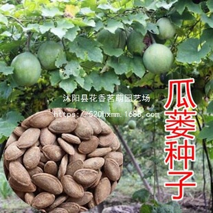 ���V�N������ș�ķN��ʳ�øɃ��o�s��������ļ����NҰ�����VƤ