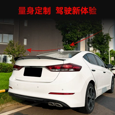 R model rear – Fixed wind wing