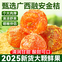 ���l�ʲݽ�����ڏV���خa���T��������ֹ�����Ӹ��������l