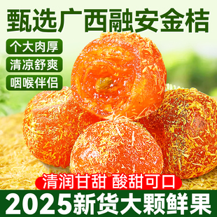 ���l�ʲݽ�����ڏV���خaֹ�����T�����������Ӹ�