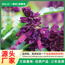 ���Uһ���ϷN�Ӵ����t���ѱ��̼t�����Ͼ��^�̨�����ļ����ܷN��