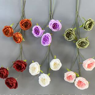 ���滨���^�W˹͡õ�� ��c��Y���bٻ��廨���� �S�����l