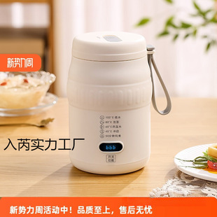 Portable Water Kettle, Travel Water Cup, Constant Temperature Insulated Water Kettle, Hotel Business Trip Dormitory Electric Cup Water Kettle