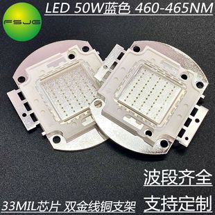 Blue 50W high power LED lamp beads collection light source 33MIL chip double gold wire copper bracket landscape lighting light source