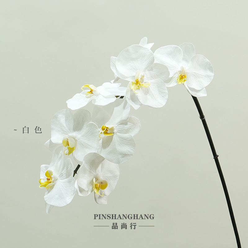 황색 암술, 흰색 - 93cm