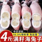 【顺丰】满籽籽乌全籽带籽新鲜笔管鱼小墨鱼鱿鱼冷冻海兔子海鲜