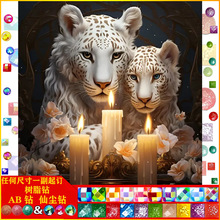 �Ҿ��b�DIY���ﱪ���ֹ��ʯ�����|AB�ɉm��֬荹��S���l