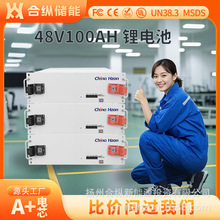 可定制100AH锂电池51.2V磷酸铁锂储能机架式家用户储储能锂电池