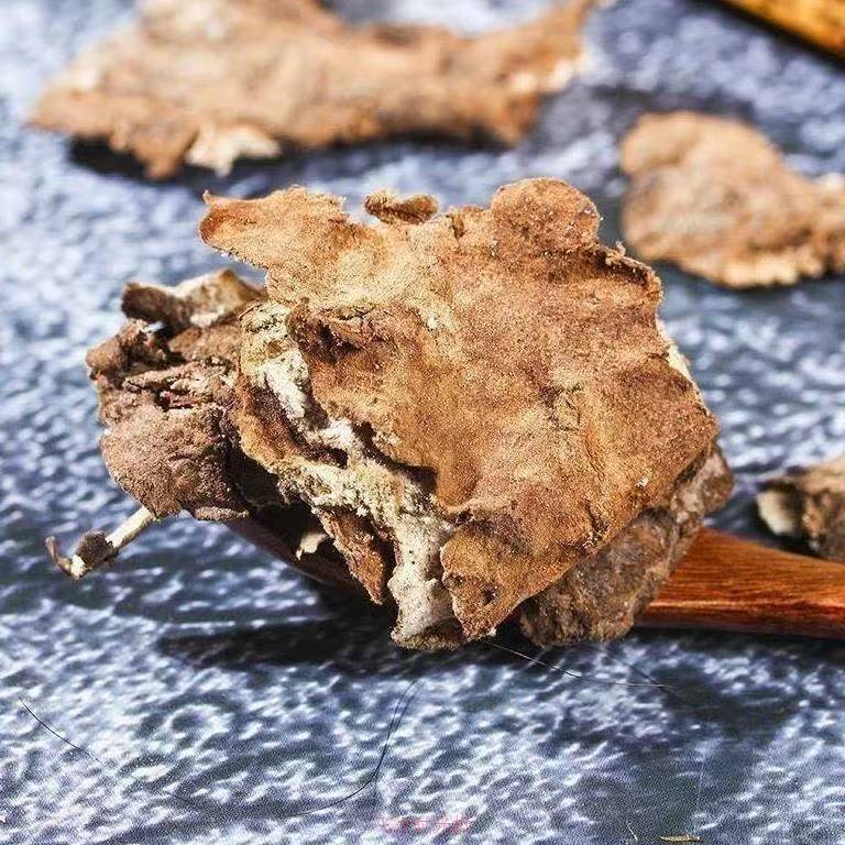 Fu Ling Pi (Poria cocos Peel) — Dried TCM Herb, Unsulfured, 500g specifications