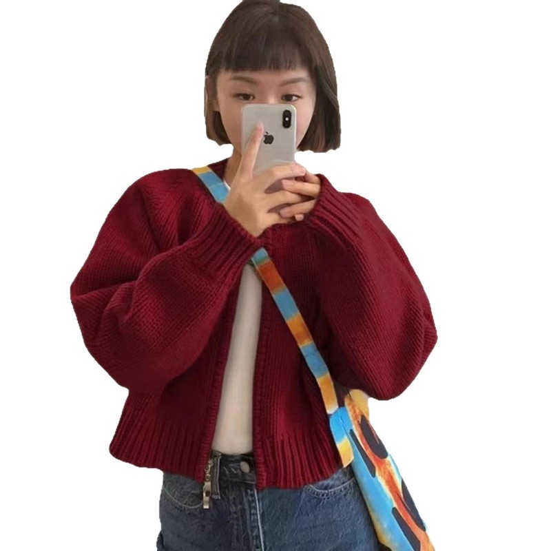 2025秋冬新款宽松灰色短款毛衣外套女装加厚拉链长袖针织开衫上衣|undefined
