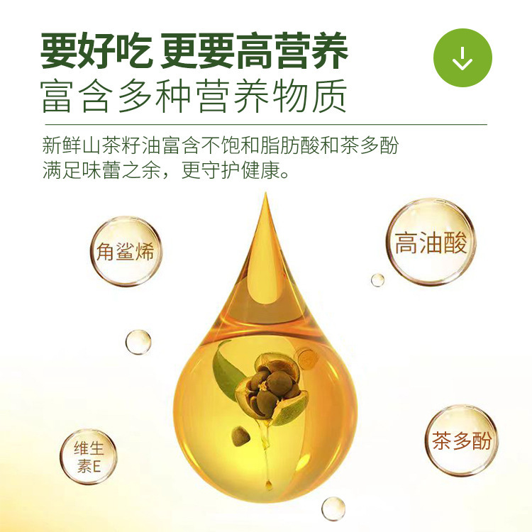 純粋なツバキの油の5リットルの1級の冷搾りの正統のツバキの種の油の茶の木のツバキの油の食用油は油の種を搾ります|undefined
