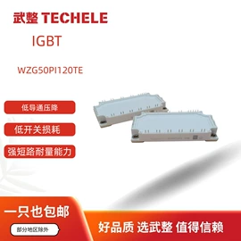 普通晶闸管;整流二极管;桥式整流器