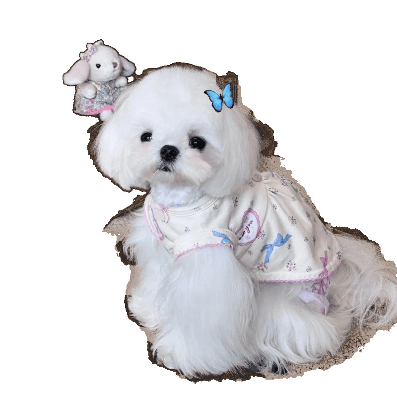 Ropa para cachorros, estilo fino de verano, refrescante vestido de una pieza para mascotas, estilo princesa, estilo occidental, Teddy Bichon, ropa de dos patas Bomei