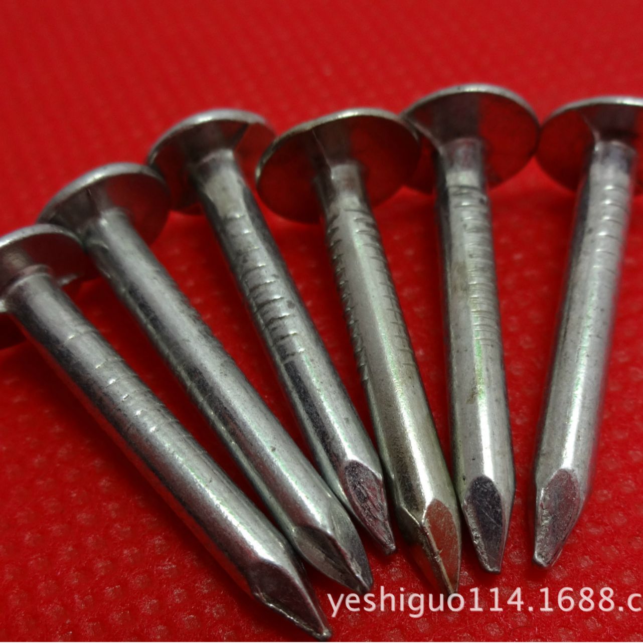 生产供应大帽油毡钉（工厂）长度直径50,40，30mmx3.0mm帽径10mm