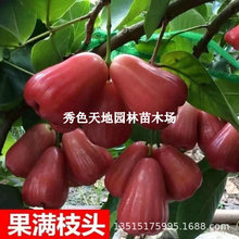 �ڽ���ɏ�F����޽�̨����Ʒ�N���ǰűȹ�����箔��Y���������~